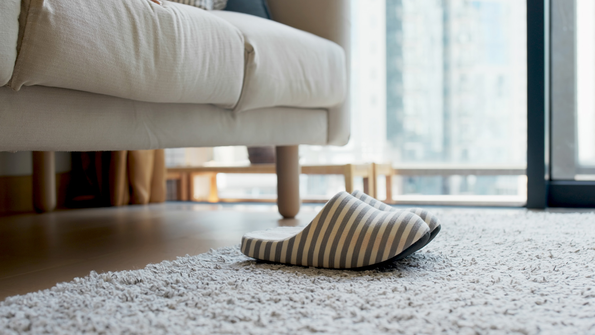  Carpet and Upholstery Cleaning
